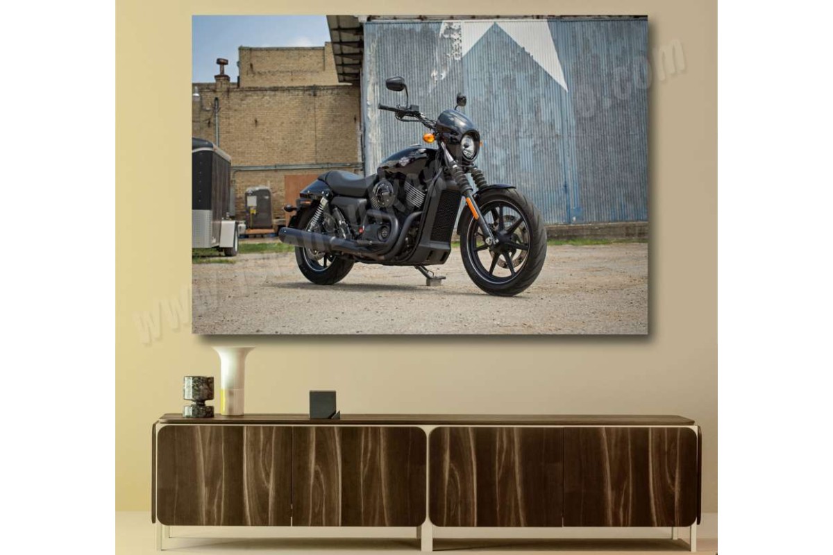 Tptsm17 - Harley Davidson Street Motosiklet Kanvas Tablo