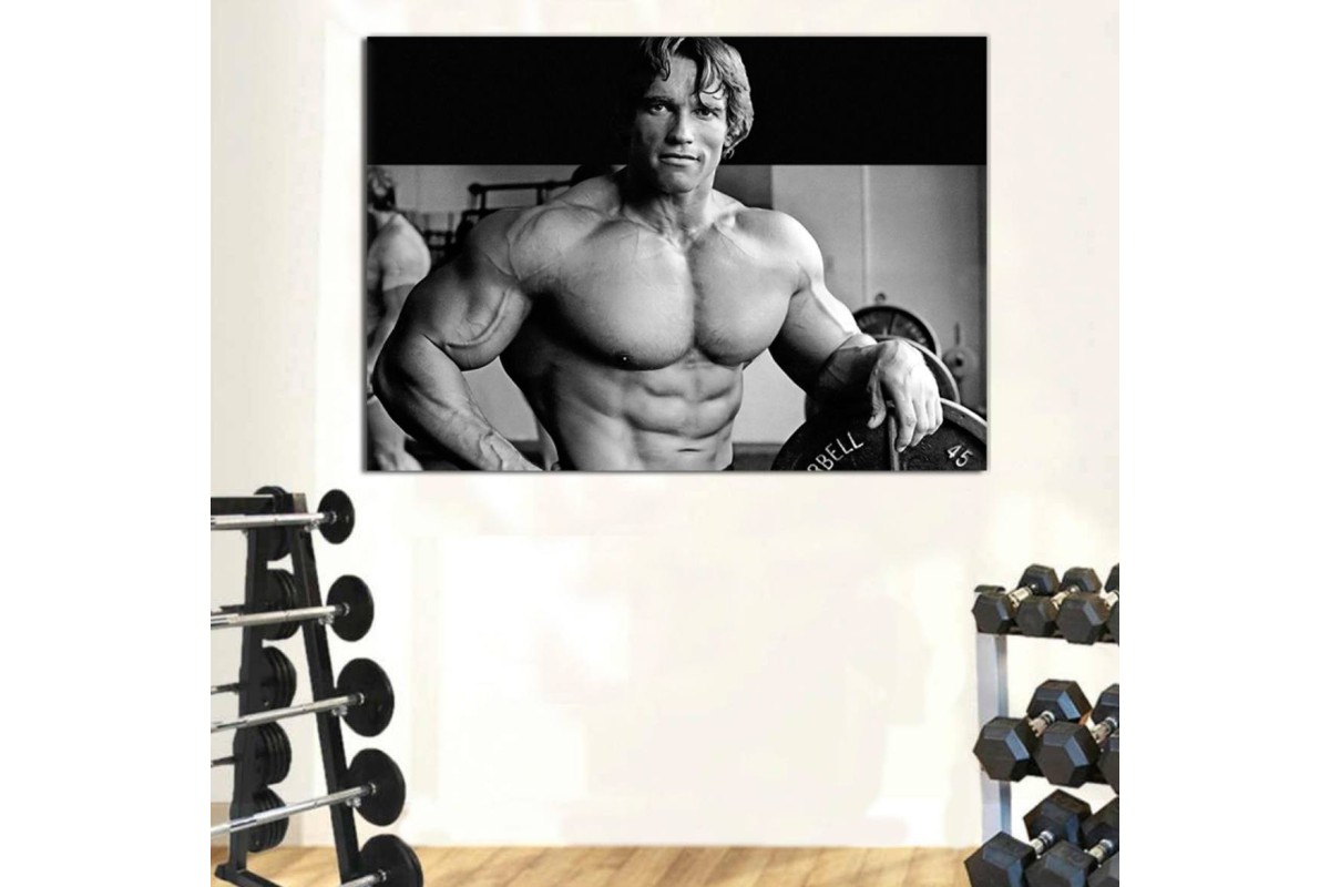 Tptsrss2 - Spor Salonu - Vücut Geliştirme - Body Building - Arnold Schwarzenegger Kanvas Tablo